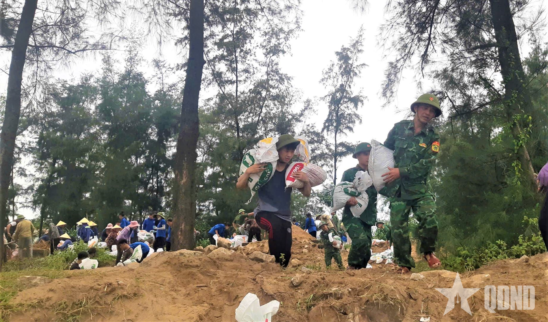 Bộ đội Biên phòng Hà Tĩnh giúp dân ứng phó bão số 5